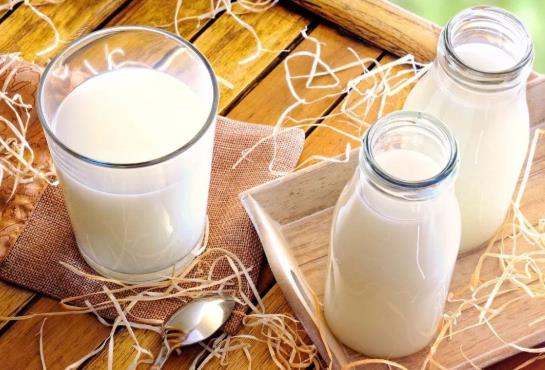 喝牛奶长痘痘是因为乳糖不耐受吗?喝牛奶长痘痘是咋回事