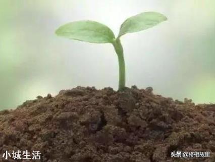 微生物肥料怎样使用才能达到最佳效果？