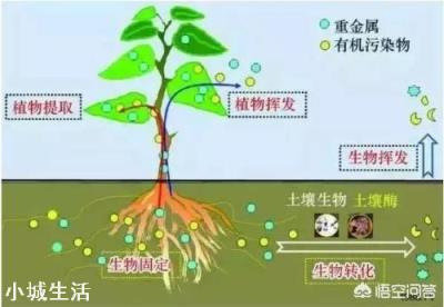 微生物肥料怎样使用才能达到最佳效果？