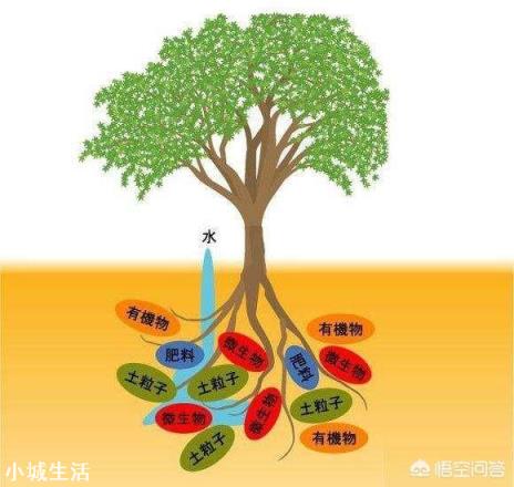 微生物肥料怎样使用才能达到最佳效果？