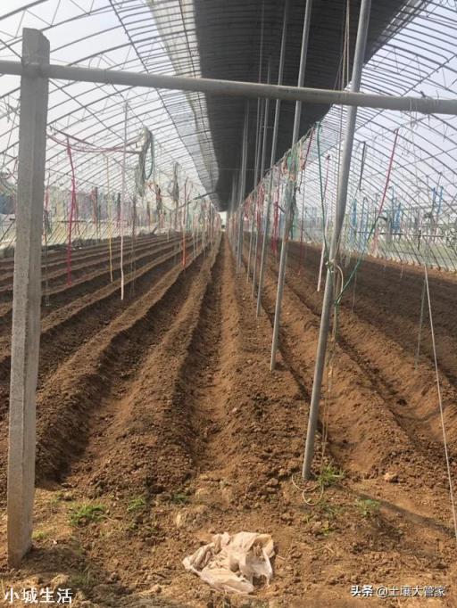 微生物肥料怎样使用才能达到最佳效果？