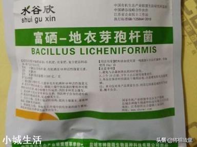 微生物肥料怎样使用才能达到最佳效果？