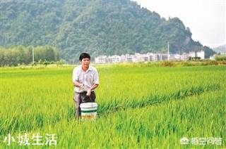 微生物肥料怎样使用才能达到最佳效果？
