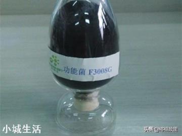 微生物肥料怎样使用才能达到最佳效果？