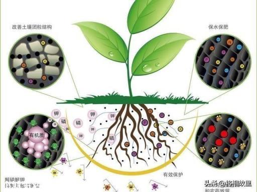 微生物肥料怎样使用才能达到最佳效果？