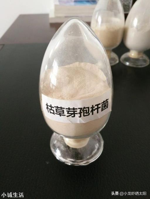 微生物肥料怎样使用才能达到最佳效果？