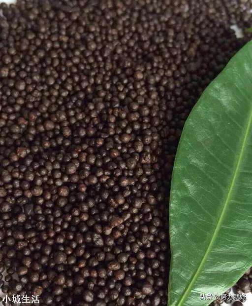 微生物肥料怎样使用才能达到最佳效果？