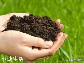微生物肥料怎样使用才能达到最佳效果？