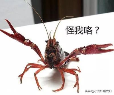 微生物肥料怎样使用才能达到最佳效果？