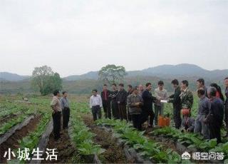 微生物肥料怎样使用才能达到最佳效果？