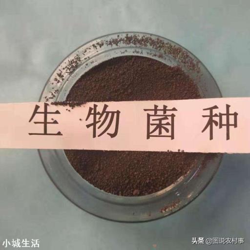 微生物肥料怎样使用才能达到最佳效果？