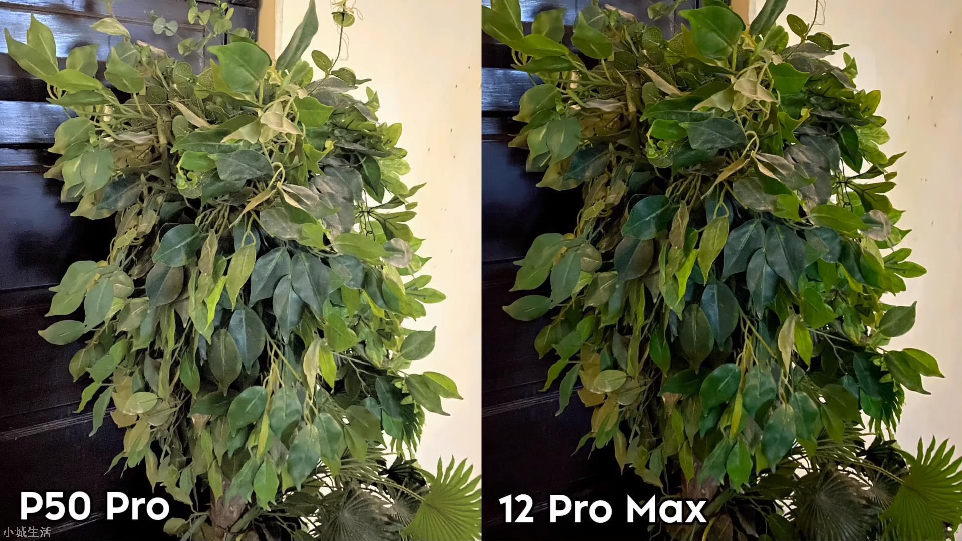 华为P50Pro和iPhone12ProMax实拍对比：差距比想象的明显