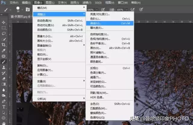 ps怎么画圆曲线 ps如何画曲线