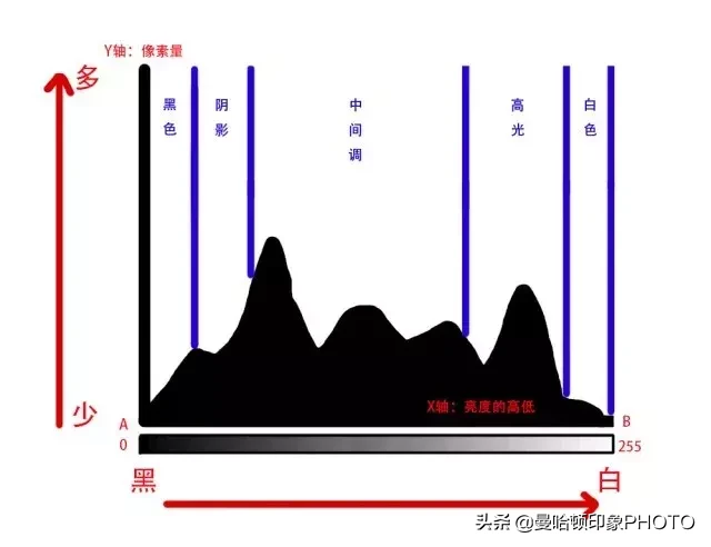 ps怎么画圆曲线 ps如何画曲线