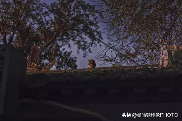 ps怎么画圆曲线 ps如何画曲线