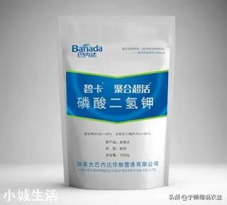 苹果树何时喷磷酸二氢钾最好？