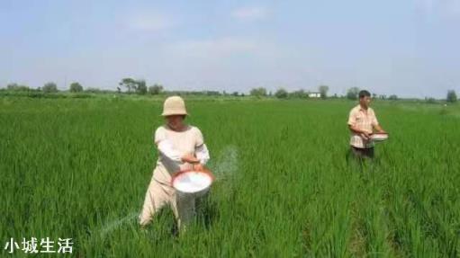 苹果树何时喷磷酸二氢钾最好？