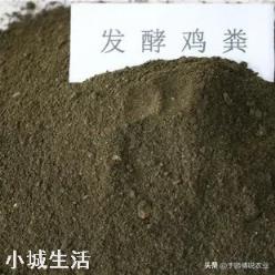 苹果树何时喷磷酸二氢钾最好？