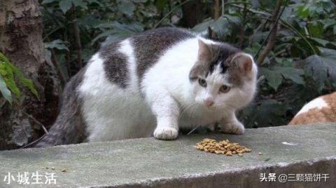退休之后最不该干的事情是什么?
