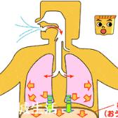 瑜伽的“呼吸控制法”是什么?