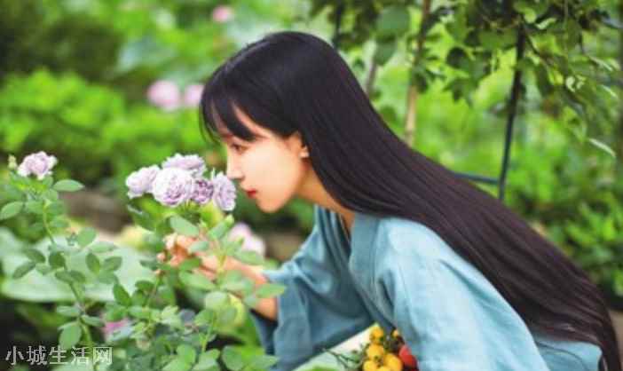 ?知名網紅李子柒報警(李子柒為什么要報警)