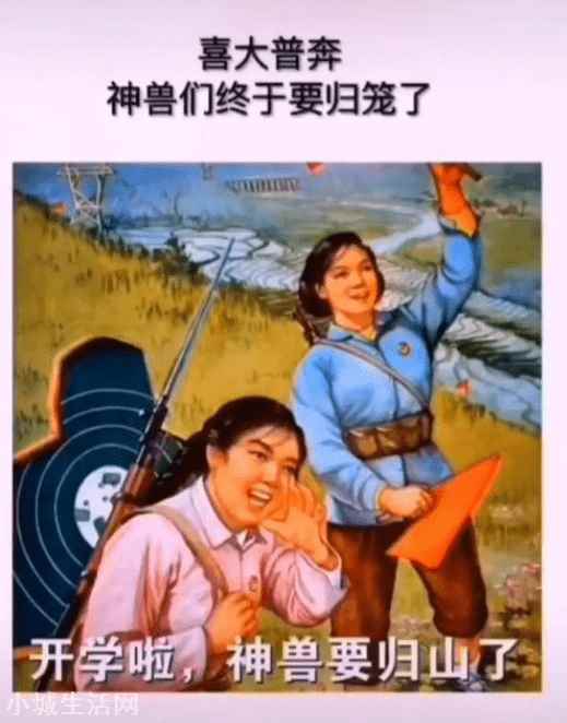 ?神兽归笼爸妈有多开心(喜大普奔神兽们终于归笼了)