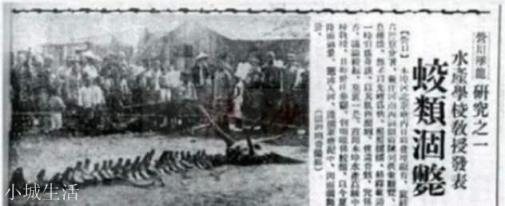 历史上有哪些离奇的事情？