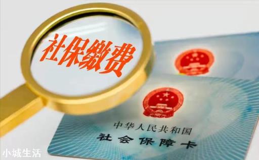 个人缴社保，缴哪个档次的划算？