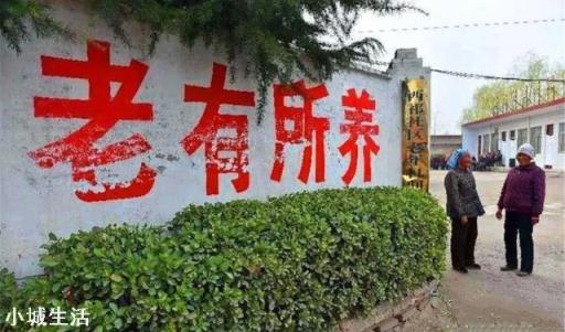 个人缴社保，缴哪个档次的划算？