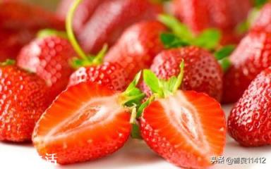 草莓發芽分化最好的方法是什么，怎么弄呢？