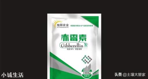 草莓發芽分化最好的方法是什么，怎么弄呢？
