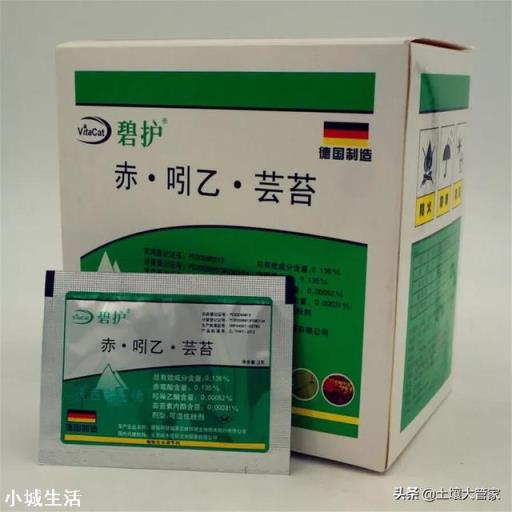 草莓發芽分化最好的方法是什么，怎么弄呢？