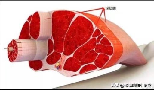 想要瘦身，是练瑜伽好，还是健身好？