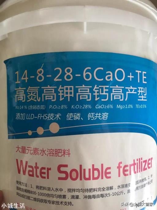 大量元素水溶肥能和根肥一起冲施吗？怎么样？