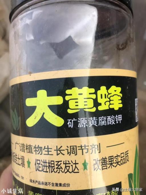 大量元素水溶肥能和根肥一起冲施吗？怎么样？