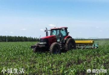 大量元素水溶肥能和根肥一起冲施吗？怎么样？