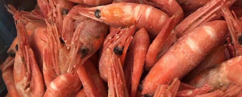 活虾怎么保存不死
