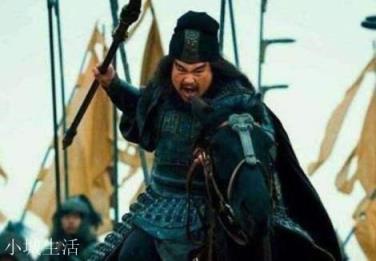 《三国演义》中如果说温候吕布武功天下第一,那么哪位将领武功能排第二名呢?