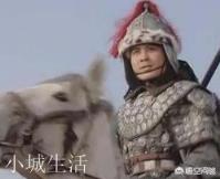 《三国演义》中如果说温候吕布武功天下第一,那么哪位将领武功能排第二名呢?