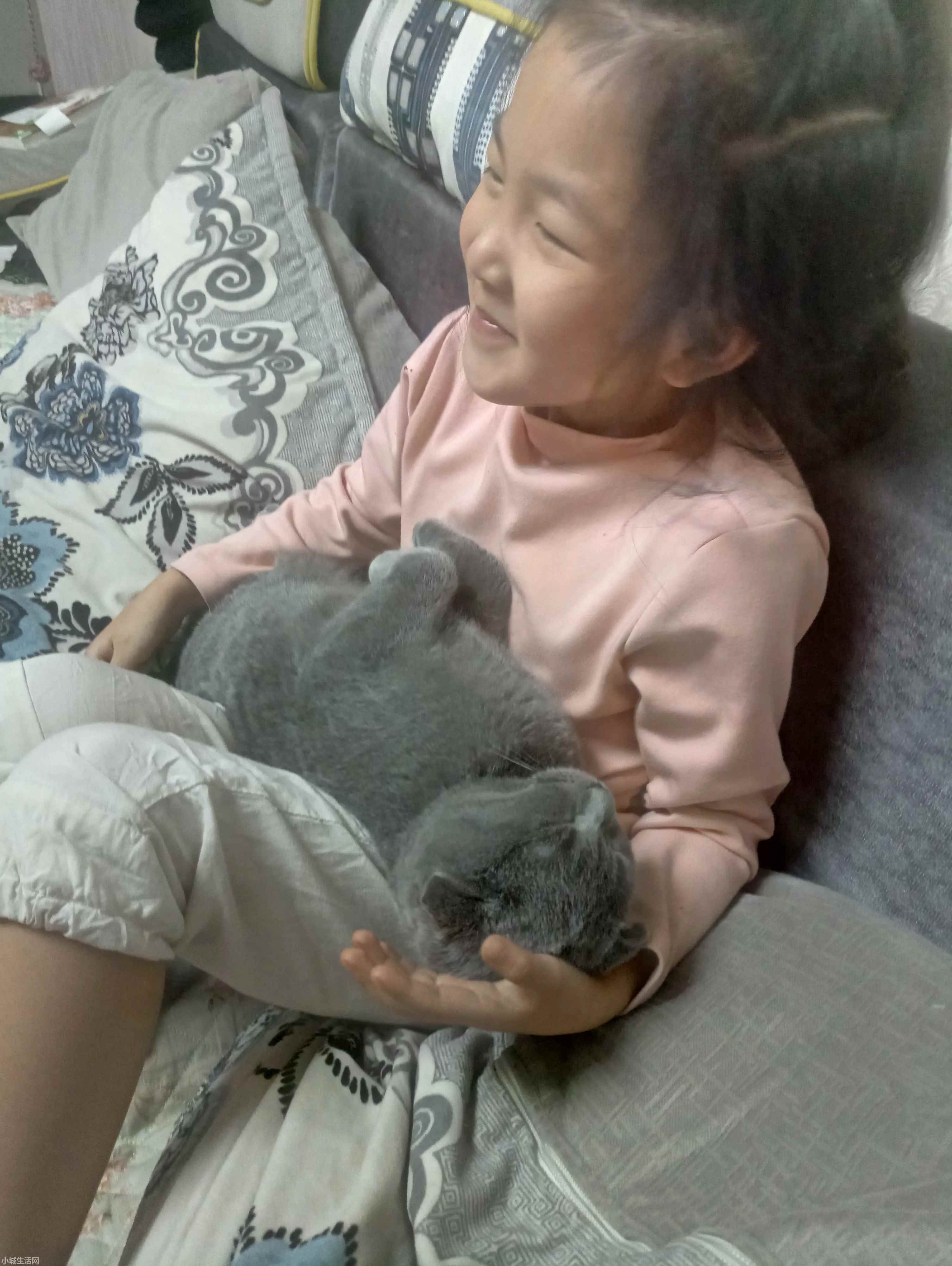 两个月大的小猫怎么养最佳