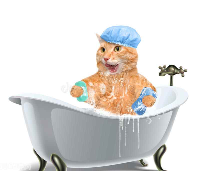 两个月大的小猫怎么养最佳