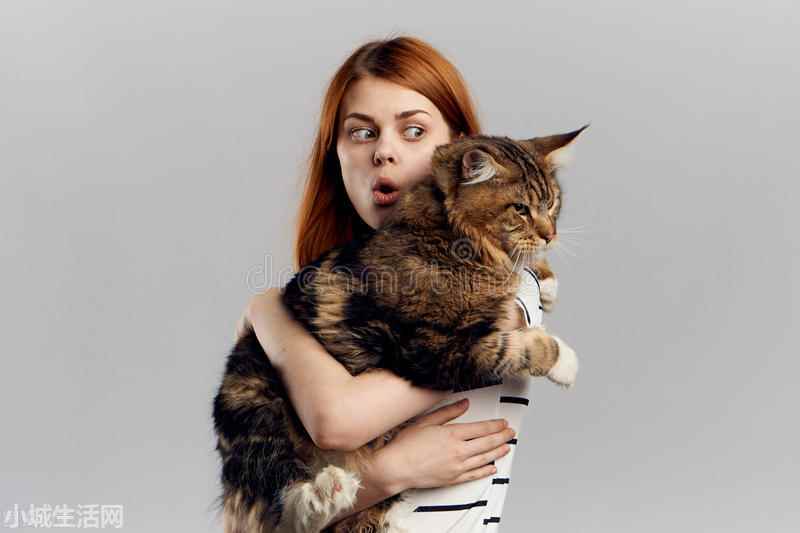 两个月大的小猫怎么养最佳