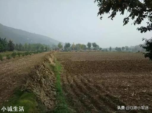 一个人能无耻到何种地步？