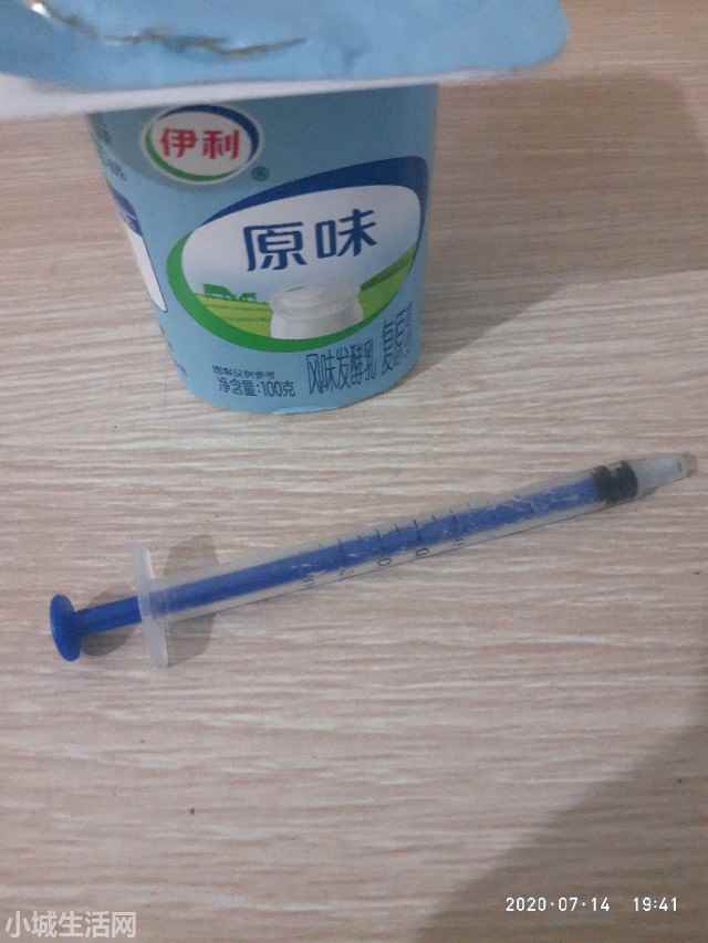 刚出生的小松鼠怎么养正确方法