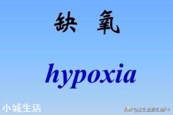 珠穆朗玛峰登顶这么难，人为啥不直接从飞机上降落珠峰？