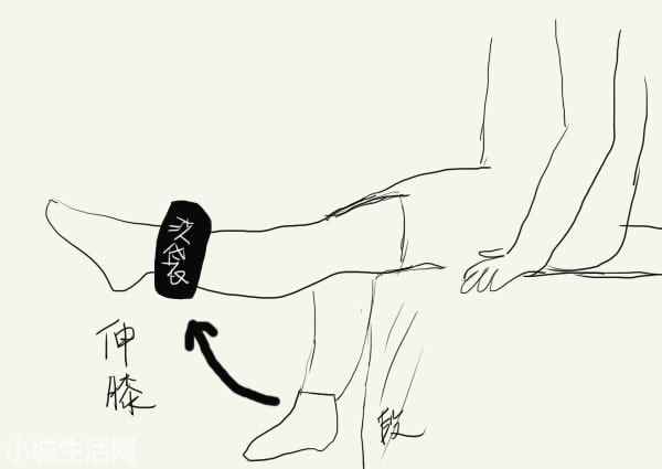 半月板轻度损伤怎么养经验分享
