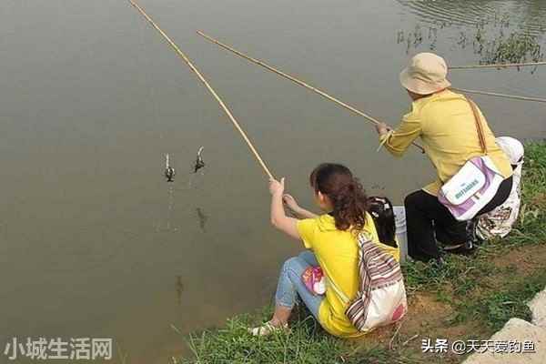 钓回来的龙虾怎么养不容易死