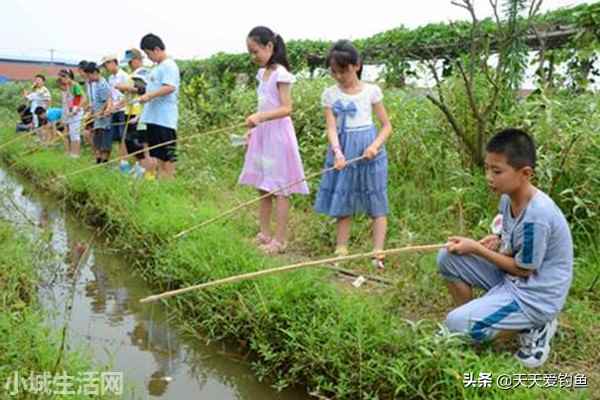 钓回来的龙虾怎么养不容易死