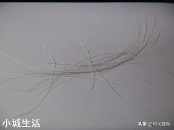 地震后有的地上会生白毛，这“白毛”究竟是什么？