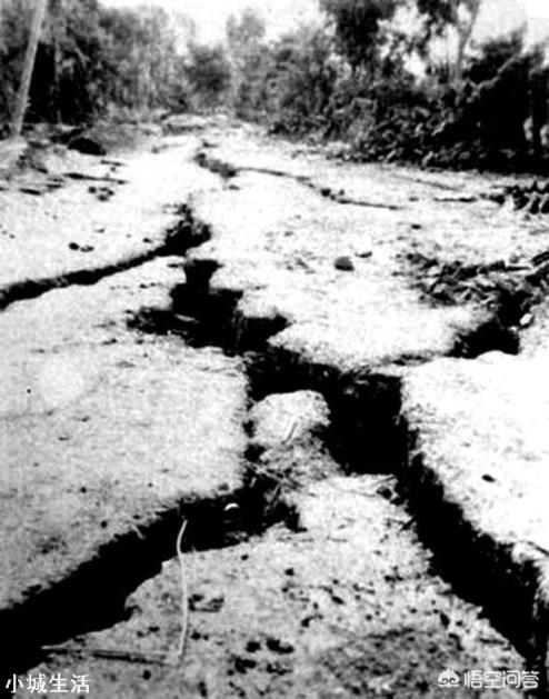 地震后有的地上会生白毛，这“白毛”究竟是什么？